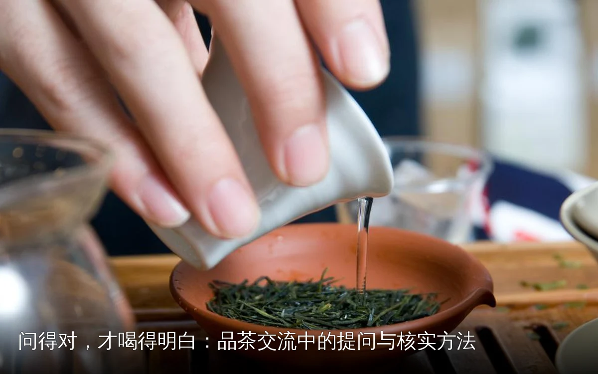 问得对，才喝得明白：品茶交流中的提问与核实方法
