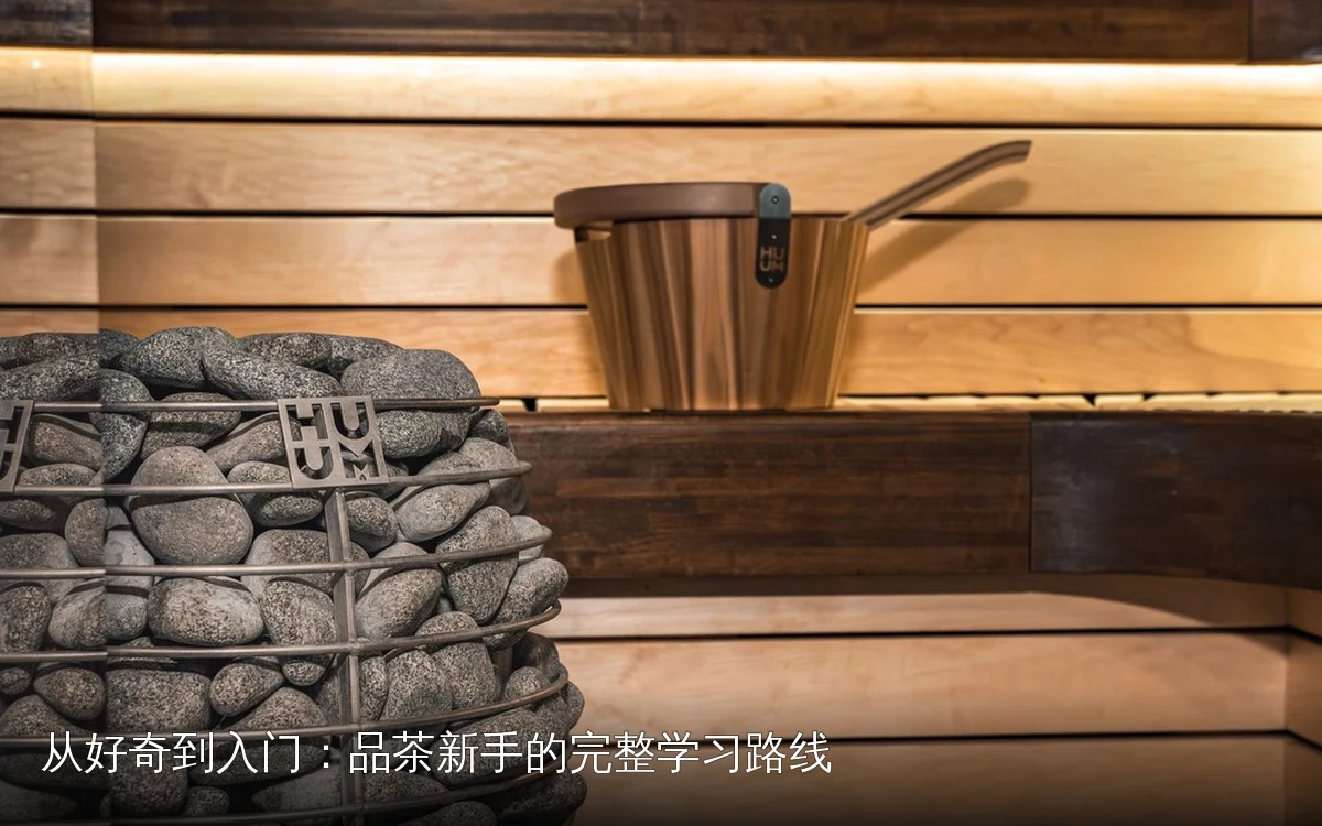 从好奇到入门：品茶新手的完整学习路线